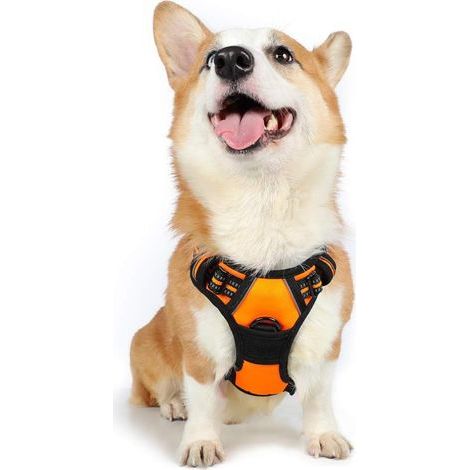 Hundegeschirr Größe M, orange, reflektierend, verstellbar, mit Zugstopp-Funktion, Leinenbefestigung vorne, ideal zum Wandern, Autofahren, für Französische Bulldoggen und Australian Shepherds (1/5)
