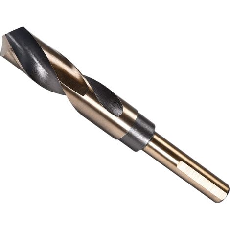 Tige Torsion Foret Forage, 20mm Coupe Bord, Titane (1/5)