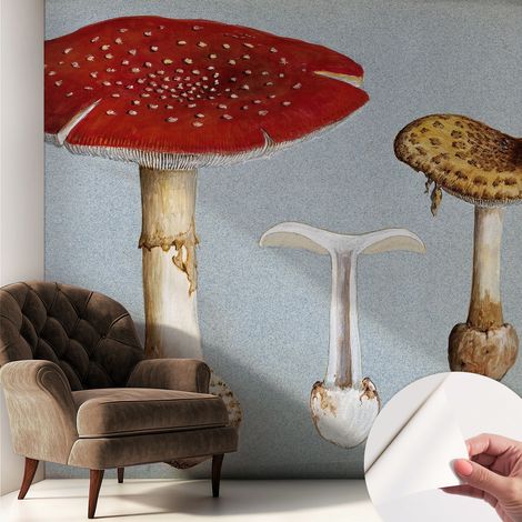 Papier peint autocollant adhésif avec imprimé motifs uniques apparence moderne Gravures de champignons 250x250 cm (1/5)