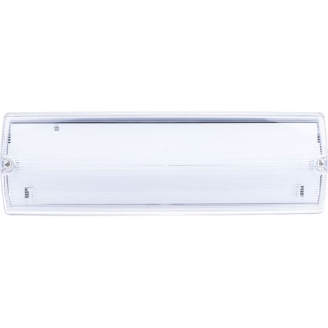 Éclairage de sécurité RS PRO IP65  à LED, luminosité 120 lm, autonomie 3h ( Prix pour 1 )