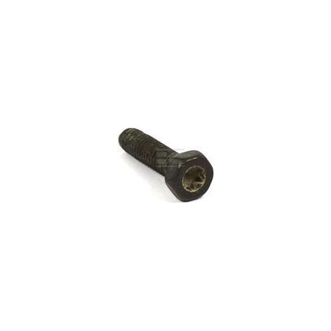 Vite BRIGGS & STRATTON 792629 (1/2)