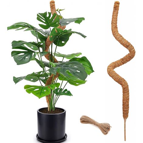 Poteau en mousse pliable de 120 cm pour plantes grimpantes d'intérieur et monstera (1/5)
