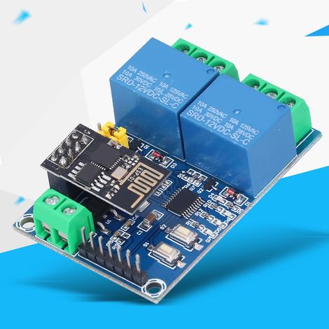 Relais WiFi double canal ESP8266 12 V pour maison connectée IoT avec application mobile et commande à distance (1/5)