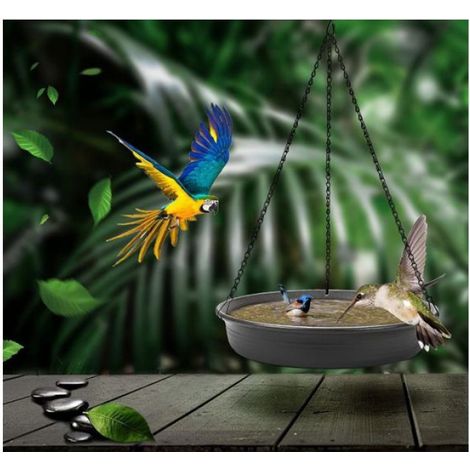 Mangeoire Oiseaux Gris, Abreuvoir Suspendu Bain Sauvages, Décoration Jardin Balcon Exterieur (1/4)