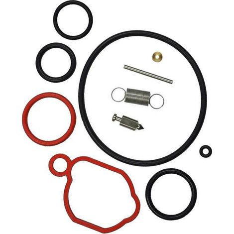 Kit de réparation de carburateur compatible avec Briggs & Stratton 590589 08P502 093J02 09P602. (1/5)