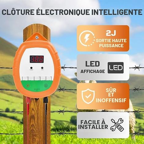 Cloture Electrique Clôture électrique Kit : fil 200 m 2,2 mm² étui étanche Clôture électrique pour bétail, chevaux, bergers (Orange) (1/4)