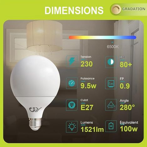 Ampoule LED E27 Dimmable, 9.5W 100W, Blanc Froid 6500K 1521LM, Ampoule Edison A60 (1/2)