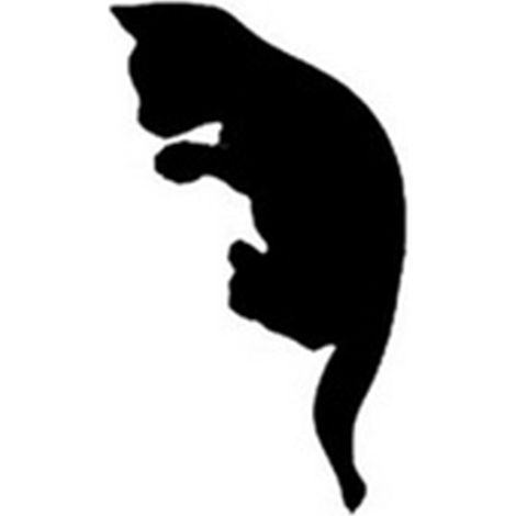 Autocollant Interrupteur - Chat Noir - PVC Haute Qualité - Pour Protection et Décoration Murale - 6 x 10 cm - 1 Pièce (1/5)