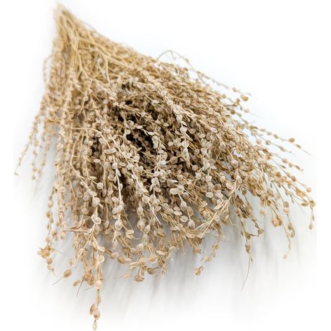 Lepidium (Lepidium sativum) - Naturalne