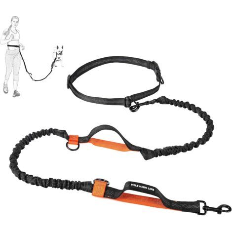 1 Laisse Rétractable, Mains Libres, 2m, Réfléchissante, pour Chien jusqu'à 50 Kg (1/5)