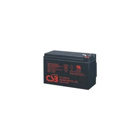 CSB 12V 9Ah Batterie Noir Puissance 34W