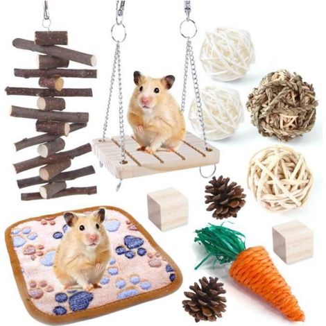 Lot de 12 jouets à mâcher en bois pour rongeurs — hamsters, cochons d'Inde, chinchillas, gerbilles (1/3)