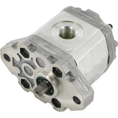 Pompe a engrenage ETESIA ET27080 (1/2)