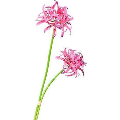 Lot de 2 lys araignées rouges artificiels, fleurs réalistes en soie, fausses branches pour centre de table, décoration florale pour mariage, maison ou bureau.rose, violet (1/5)