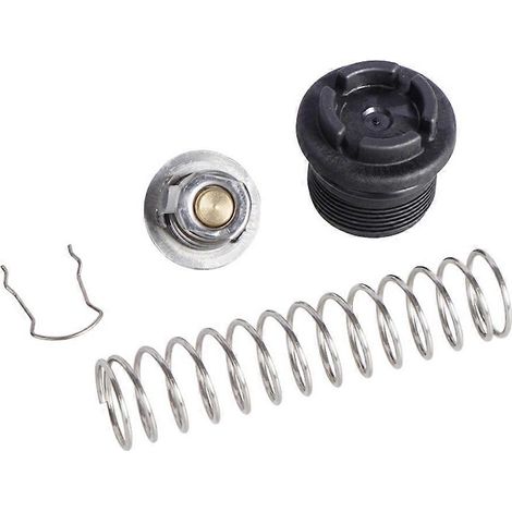 Kit de régulateur thermique 77707-0010 (1 pièce) compatible avec les chauffe-piscines et spas Pentair MasterTemp et Sta-Rite. (1/5)