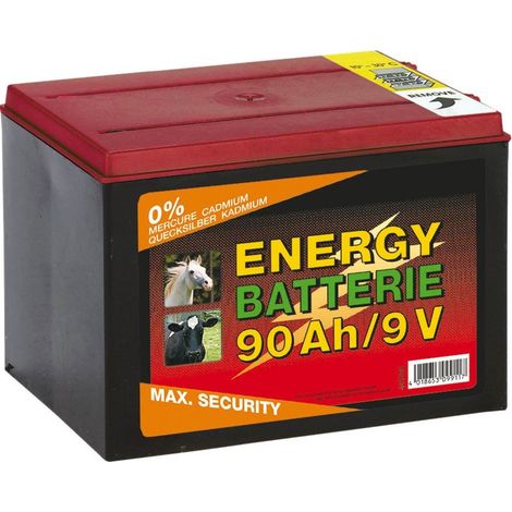 Pile sA che alcaline 9 V 90 AH pour A lectrificateur de clA ture d&39A levage