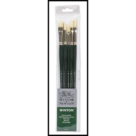 Brosse Manche Long Set 5 Brosses (1/5)