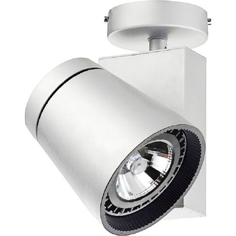 Proyector superficie tilt FLORIDA LED COB 25W 1930lm CRI80 3000K 30º Blanco