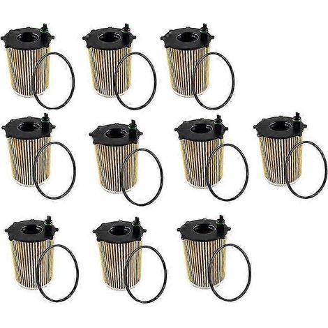 10 filtres à huile inclus, compatibles avec DS3, DS4, Xsara, EcoSport 5, 407, 508, 5008 et autres modèles. (1/5)