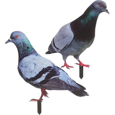 Décoration Extérieure de Jardin 2 Pigeons en Acrylique Réalistes, Ornement Décoratif Recto Verso pour Pâques et Mariages (1/5)