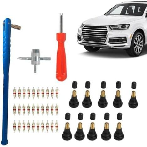 Outil de montage tige soupape - Kit d'extraction noyau roue, kit d'entretien pour pneus, voiture, atelier, camion, vélo SUV moto véhicule à moteur (1/5)