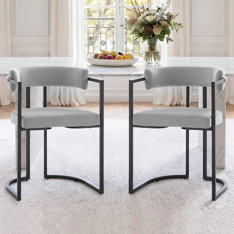 Wahson Esszimmerstühle 2er Set aus Samt, Küchenstühle Modern Wohnzimmerstuhl mit Metallgestell für Küche Wohnzimmer, Grau