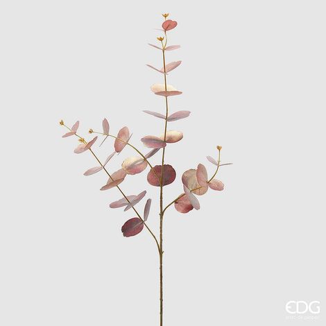 EDG Enzo De Gasperi Eucalipto Ramo H 89 Cm Garnet