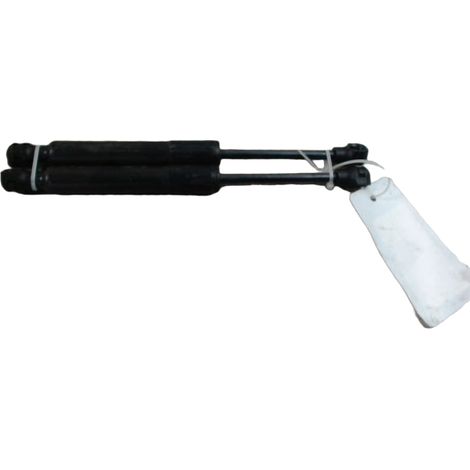 Verin Capot G RENAULT Zoe [PRODUIT D'OCCASION]♻️654707388r