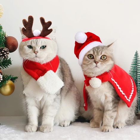 8 pièces costume Noël chien chat renne bonnet écharpe (1/5)