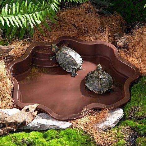 Baño para tortugas, comedero/bebedero para reptiles, acuario decorativo, marrón rojizo (1/4)