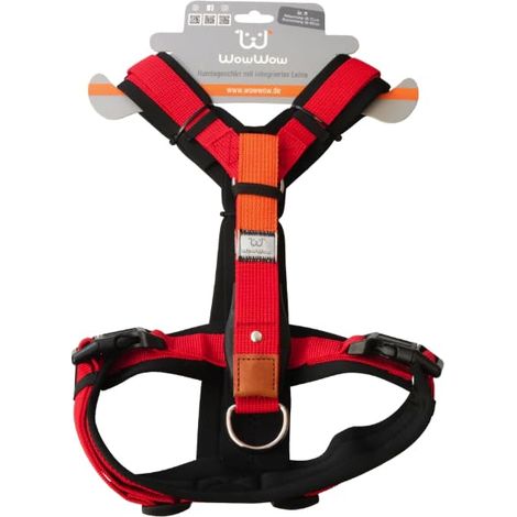 Harnais pour chien avec laisse intégrée Taille réglable jusqu'à 150 kg Rembourrage en néoprène Laisse de 60 cm Pour promener votre chien en toute sécurité et confortablement (1/5)