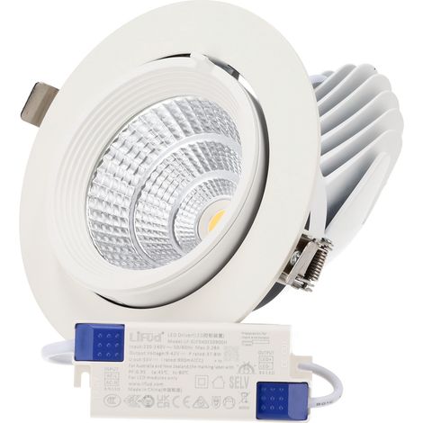 Spot encastré LED inclinable - Puce spéciale pour boucheries 40 W (1/5)