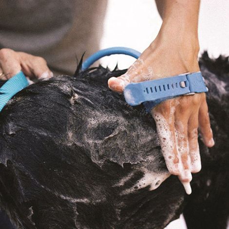 Accessoires de douche pour animaux, tuyau de douche détachable en silicone ABS pour chiens, douchette pour le bain, le lavage, le massage et le toilettage (1/5)