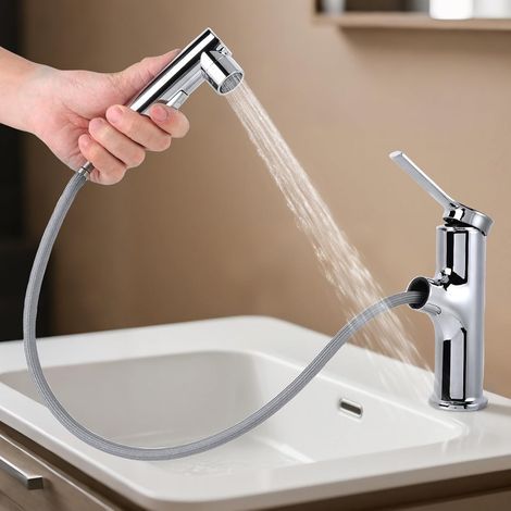 Rubinetto per lavabo con doccetta estraibile, miscelatore per acqua calda e fredda, rubinetto multifunzione con elegante rubinetto girevole sottopiano per WC, colore argento (1/5)