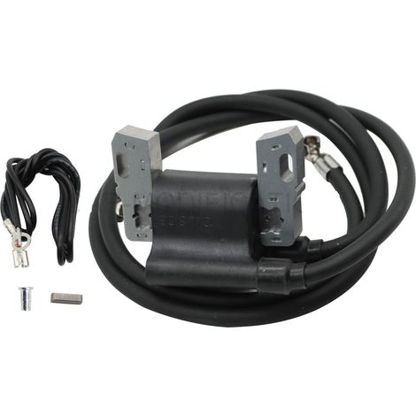 Bobina di accensione ad alta tensione per motori da 16-18 CV compatibile con i codici 590781 392329 394891 394988 - ALTRI (1/2)
