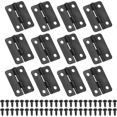 Petites Charnières Bout 24mm Mini Noir avec Vis (1/5)