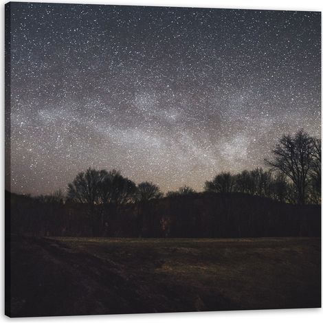Leinwanddruck Weltraum Sternenhimmel 50x50 cm