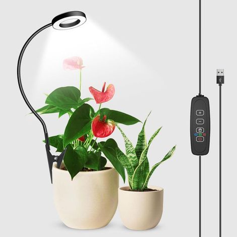 Lampe horticole LED Spectre Complet avec Minuterie et Intensité Réglable, Lampe Plante Intérieur USB, Lampe de Croissance pour Plantes Indoor (1/5)