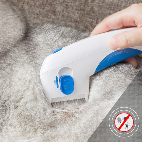 Brosse électrique anti-puces pour animaux, peigne anti-puces, peigne pour chien, brosse anti-poux, produit anti-puces, répulsif antiparasitaire externe, emballage blister. (1/5)