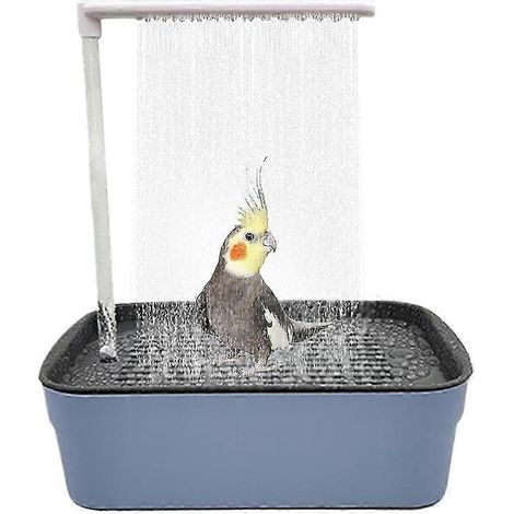 Bain automatique pour perroquets et oiseaux un accessoire d'hygiène pour le bain et l'entretien quotidien de la cage.-AquaForge (1/5)