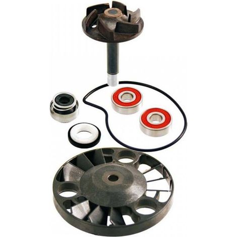 rms wasserpumpe für roller aprilia 150 scarabeo 2004 bis 2006