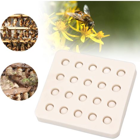 Moule en silicone pour l'élevage de reines, 20 unités, apiculture, avec cire d'abeille et alvéoles de jardin, DUBUNS - AquaForge (1/5)