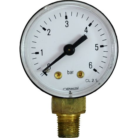 Manomètre 0-6 bar - Raccord vertical Mâle 10x100 - Favex