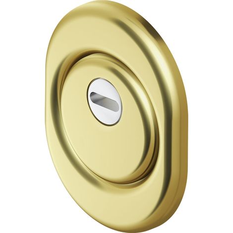 Defender per Serrature Pvd Disec Monolito Bd200 Ottone