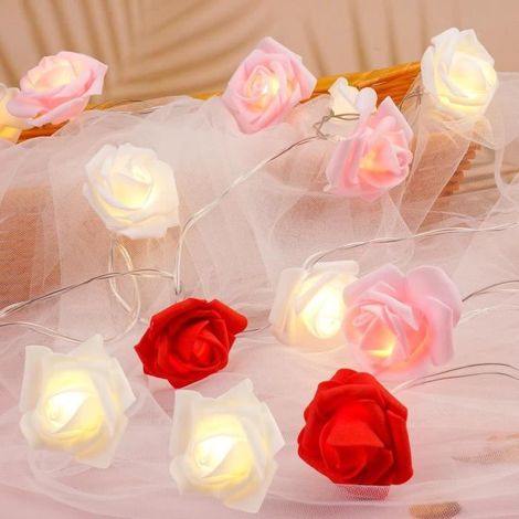 Guirlande lumineuse à LED - - Roses en mousse - 3m - 20 LED - Intérieur (1/4)