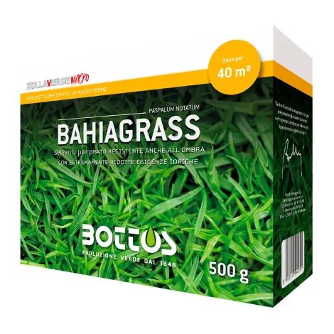 Graines Paspalum notatum Bahiagrass 500gr – Gazon rustique adapté aux climats chauds – Résistant aux sols salins et à faible entretien – Bottos