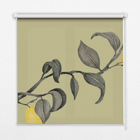 Tenda a Rullo Interna per Finestra - Tenda Filtrante Luce - Tenda Privacy - Tenda Decorativa Rettangolare - Rullo per Interni - (140 cm x 140 cm) - Limoni sull'albero