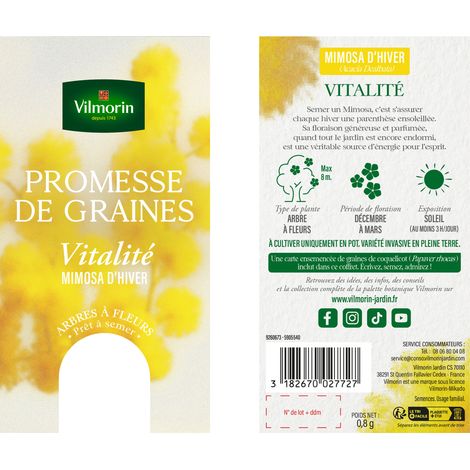 Vilmorin Mimosa d'Hiver - Vitalité (1/4)