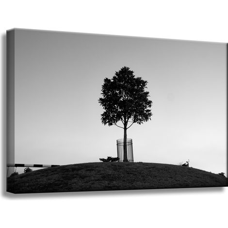 Leinwanddruck Natur Baum Schwarz-Weiß 60x40