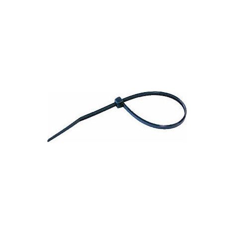 Lanière Plastique - 370x4,8 mm
